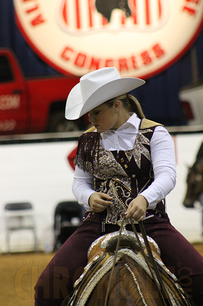 2014 All American Quarter Horse Congress Class Counts