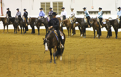 Custom Videos Will be Available of Rail Classes at 2014 QH Congress