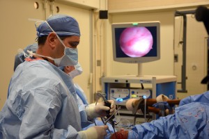 Dr. David Levine performs surgery on Liam's hind leg. Photo courtesy of Penn Vet. 