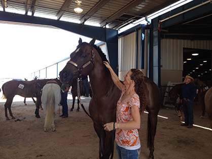 What it Feels Like to be an AQHA Select World Show All-Around Champion!