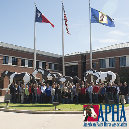 APHA Hosts First-Ever Paint Horse Halter Industry Summit