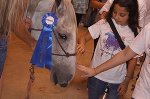 Photo courtesy of National Cowgirl Hall of Fame and Museum. 