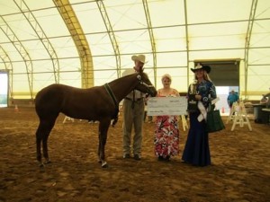 Amateur Weanling Filly