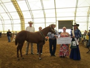 Open Weanling Filly winner