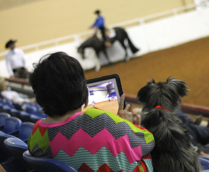 Live Feeds Coming From High Roller Reining Classic, WCHA Breeders’ Championship, and Upcoming Quarter Congress on iEquine
