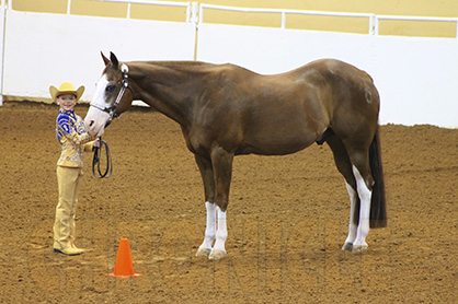 Older Horses Compete With Top Joint Care