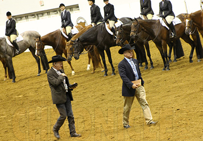 BIG CHANGES- Modifications Approved to AQHA Stewards Program