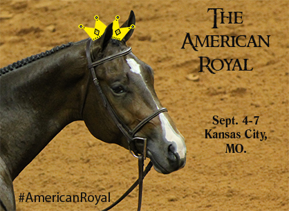 Quarter Horse Royalty Headed to Kansas City, MO. This Week- 6 Judges, Parties, LIVE Feed and More!