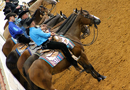 AQHA Rule Change Proposal Deadline Quickly Approaching