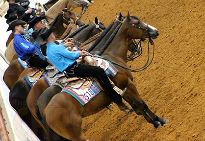 AQHA Rule Change Proposal Deadline Fast Approaching