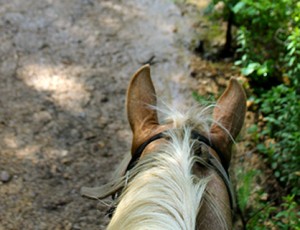 trail ride