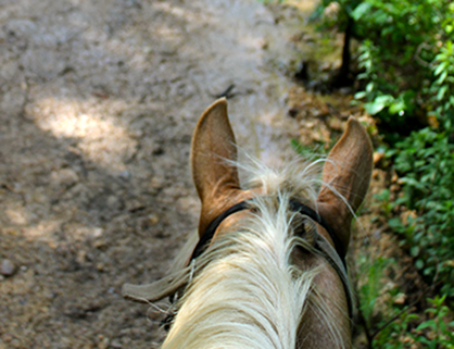 What Would YOU Do With $9.5 Billion to Fix the Nation’s Horseback Riding Trails?