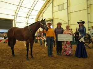 Amateur Yearling Filly winner