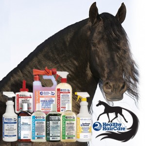 Photo courtesy of Horse Grooming Solutions, LLC.