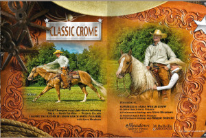 Check out Classic Crome's beautiful fold-out in the Congress edition of The Equine Chronicle on page 224.