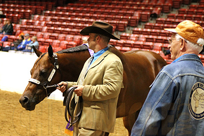 Super Horse, RPL My Te Cheerful, Wins Fifth Grand Champion Title at 2014 QH Congress