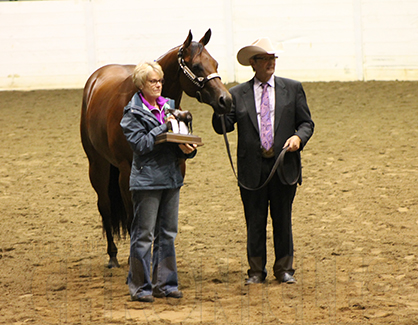 Frank Berris and Its Gameday Win Amateur 2-Year-Old Geldings at 2014 QH Congress