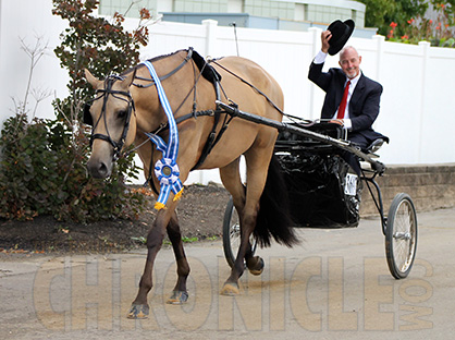 Brian Holmes and Stridin N Lucky Blue Win Jr. Pleasure Driving at QH Congress
