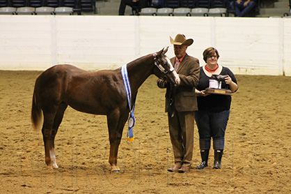 First Congress Champion For Karen Johnson in Weanling Geldings With Heza Sidewinder