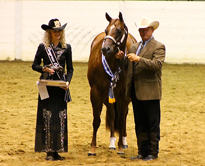 Parker and Best Dawn Yet Win 2-Year-Old Mares, Roark and Giancarla Win 3-Year-Old Mares at 2014 QH Congress