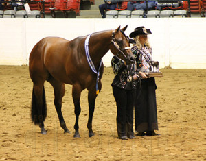 Miranda Peck and Corporate Secret