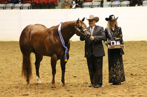 Dewey Smith and PF Premo- 3-Year-Old Stallions Congress Champion