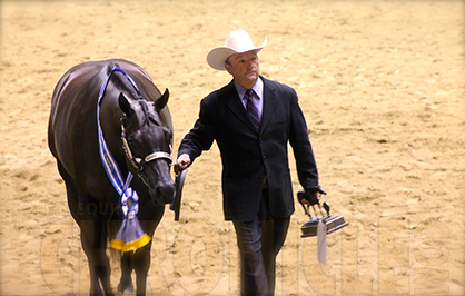 Roark and Exceptional Playgirl Capture Emotional Win in Aged Mares and Grand Title For Owner Frank Berris