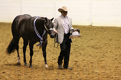 Yearling Geldings Win Goes to Robertson and Coos Me In The Dark; 2-Year-Old Geldings Champ is Roark With It’s Gameday