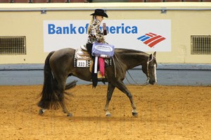 Taylor Brown with Just Hit Town, 2014 AQHYA Reserve World Champion in Trail. 