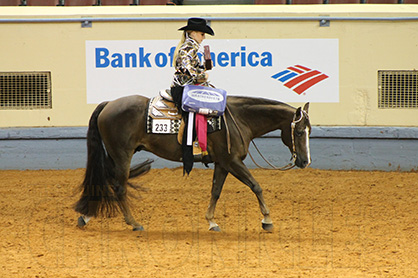 United Equestrian Conference Announces Sept. Riders of the Month