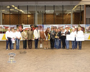 highest placing OBE in the Amateur Weanling Fillies, bringing home over $45,000
