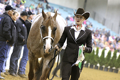 Better Start Practicing… 2014 QH Congress Patterns Now Online!