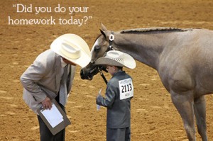 Excuse me young man, did you do your homework today? EquineChronicle.com Image.