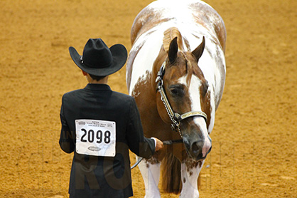 Get a Leg Up on the Competition! View APHA World Show Patterns Online Today Via New Method