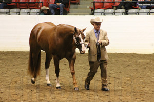 Reserve Congress Champion Vern Habighorst with Boys N Toys