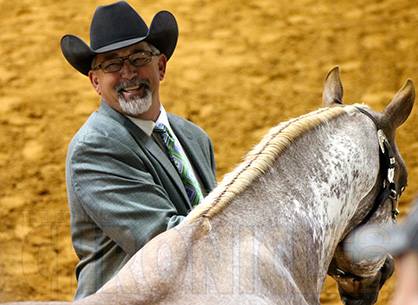 Halter Titans Battle It Out For Historic Achievement at 2014 APHA World Show