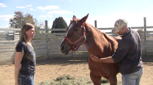 Two new owners and their adopted horse. Photo courtesy of HARPS.