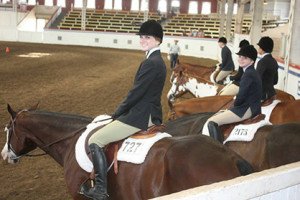 Photo courtesy of Missouri Paint Horse Club