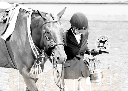 AQHA World Show Qualifying Deadline Approaching- July 31st