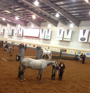 EC_2014APHA_343