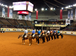 APHA Show Management Manual Available Online