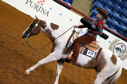 APHA Show Lease Program Comes Into Effect January 2015