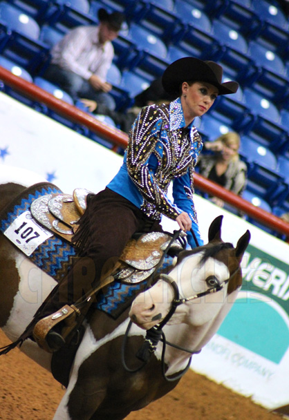 Now You Can Submit 2015 APHA Amateur and Novice Applications Online!