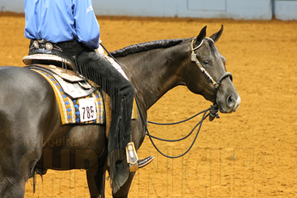 Qualifying Points Announced For 2015 AQHA World Shows