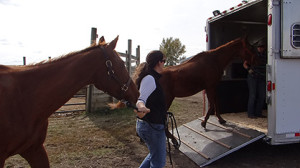 Loading outside trailer shot