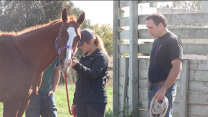 New owner with their adopted horse. Photo courtesy of HARPS.