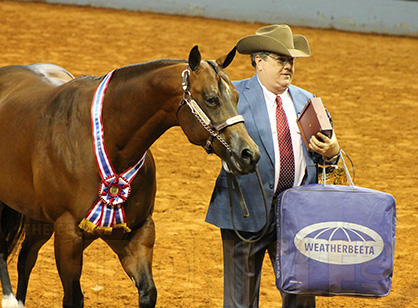 3-Year-Old Amateur Mare and Gelding AQHA Wins Go To Trahan and Dobbs