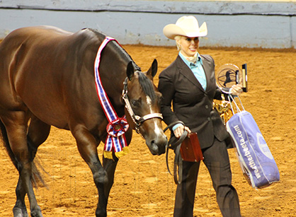 Andrea Alderson Wins First AQHA World Title With Most Appealing Dream in Am. Performance Halter Mares