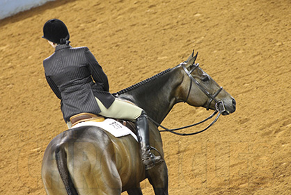 Congratulations 2017 AQHA Youth World Hunter Under Saddle Finalists!