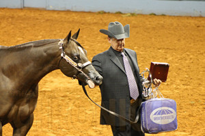 Reserve World Champion Amateur Yearling Colts- Lonn Smallwood with Valentino